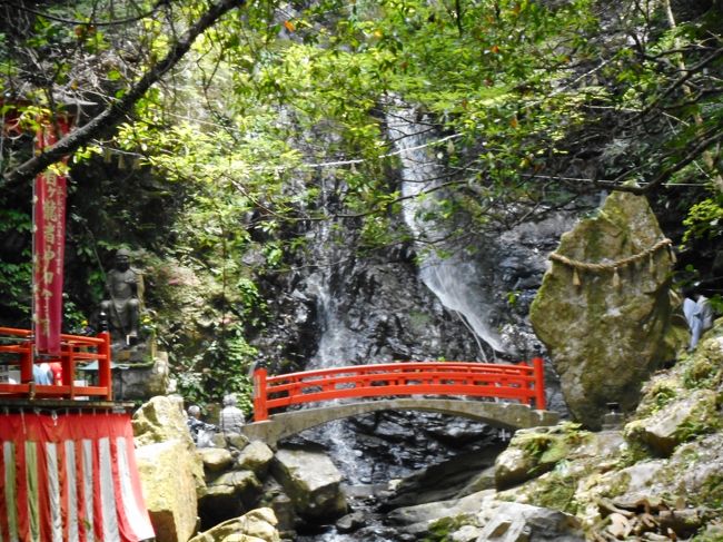 修験道体験をできる寺社は全国にいくつかあります。でもアクセスが容易で体験チャンスが多いとことはそれほどありません。<br />ここ大阪・関西空港近くの犬鳴山は毎月第三日曜日に修験道体験が3000円で開催され、滝修行も含めた修験道を体験できます。<br /><br />関西には奈良の大峰山が修行で有名ですが女人禁制を守っており、ここ犬鳴山は女性も参加できる修行体験として知られてます。<br />今回、思い切って参加してきました。<br />修行中は写真撮影できないので、その前後の写真ですみません。<br />ぜひ、この感動を皆さんに体験してほしいと思って投稿します。<br />絶壁にロープで吊らされる西の覗き、滝修行など経験の価値あります。<br />大阪市から日帰り簡単ですので全国からもアクセス簡単！