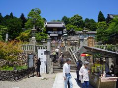 久しぶりの京都であれこれお手軽グルメと街歩き（三日目）～さまよえる桓武天皇の軌跡、長岡京跡周辺の街歩きから、かねてからの課題あじさいの楊谷寺へ。最後は先斗町の茶香房長竹でディープな夜のひと時を過ごします～