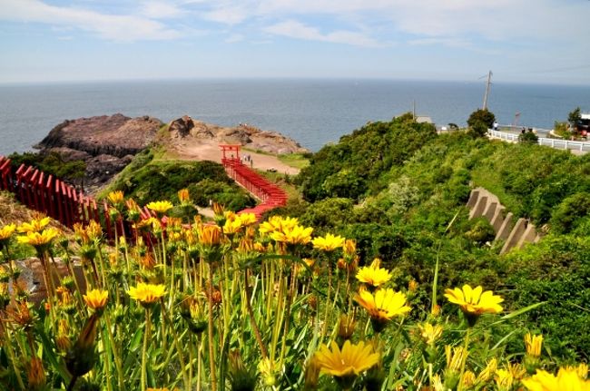 　　”北長門海岸国定公園”は、山口県の萩や青海島を含む山陰海岸一体で角島なども含まれる風光明媚な海岸線は多くの観光客にも人気がある。<br /><br />　特に角島は人気スポットだが、何度も行っているので今回はパス。これまでまだ行ったことがなかった、元乃隅稲成神社（もとのすみいなりじんじゃ）や、東後畑（ひがしうしろばた）の棚田などを訪ねてみることにしました。<br /><br />　山口市内の孫宅を訪問したついでにマイカーで北長門海岸を探訪してきたので紹介します。<br /><br />　ルートは、山口市内→国道２６２号線を北上、萩の手前で山陰道１９１号線を西へ→三見・長門を通り長門古市へ<br /><br /> 山口市内から車でおよそ２時間かけて元乃隅稲成神社に到着、千畳敷から東後畑（ひがしうしろばた）の棚田などを見学後再び山口市内に戻る。