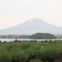 2017 孫と行く！5歳児の初めての富士山