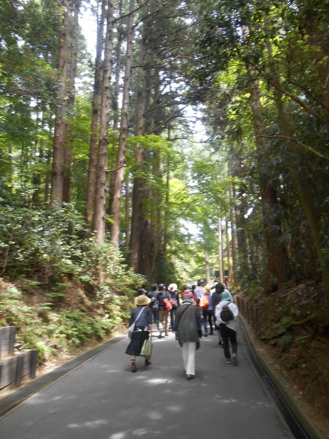 平泉に行きました<br />毎年１か所は世界遺産を巡ろうと頑張っています。<br />特に今回の訪問でジャスト５０か所<br />タイミングよく誕生日に行くことができました。