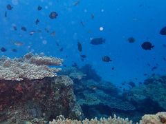 「初めまして」がイッパイ！あまみへの旅　その２　ミステリーサークル編