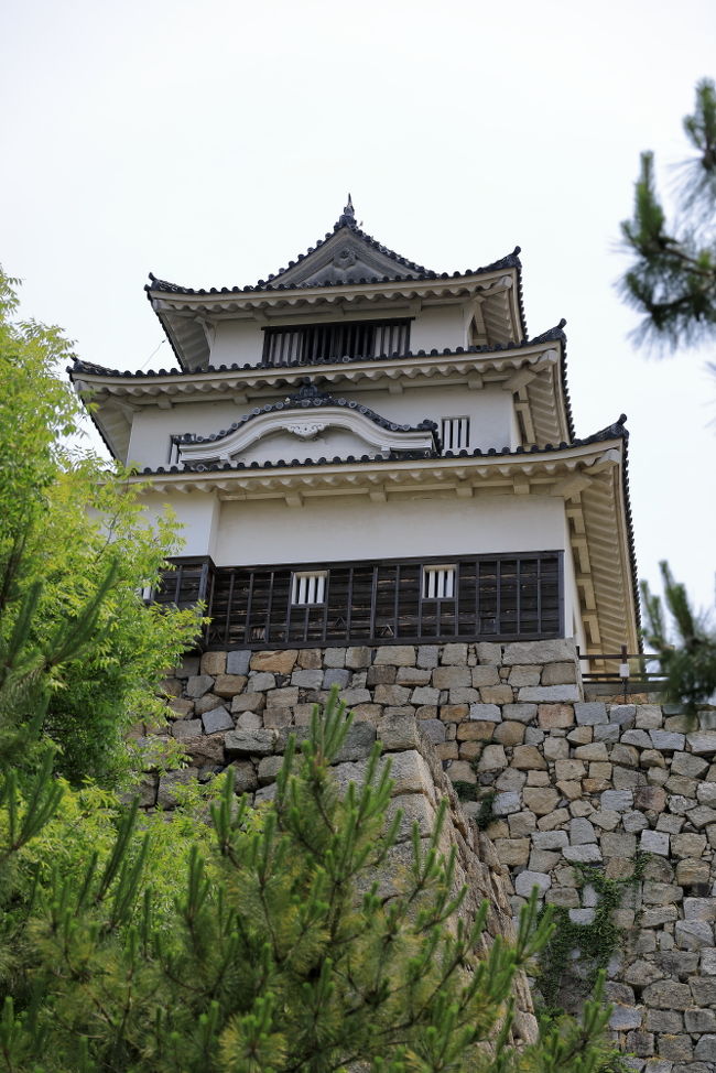 嫁君の出張にお付き合いで香川県への旅。自由時間は4時間ほどです。<br />何処行こうと考えた末、丸亀城へ。<br /><br />標高約66mの亀山に築かれた平山城で、別名亀山城と呼ばれています。本丸・二の丸・三の丸・帯曲輪・山下曲輪があり、東西約540m・南北約460mのうち内堀内の204,756m2が史跡範囲です。「石の城」と形容されるその名のとおり、丸亀城は石垣の名城として全国的に有名です。大手門から見上げる天守は威厳に満ち、夕暮れの天守は優しさをまとって、心を和ませます。400年の時を経た今日でも決して色あせることなく、自然と調和した独自の様式美をはっきり現在に残しています。（財）日本城郭協会が選定した「日本の100名城」にも選ばれ、花見や散歩など市民の憩いの場として親しまれています。（HPより）