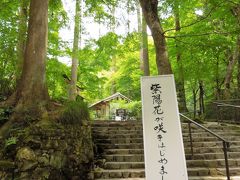 2017年6月　紫陽花が咲きはじめました↑大原三千院へ行ってきました。