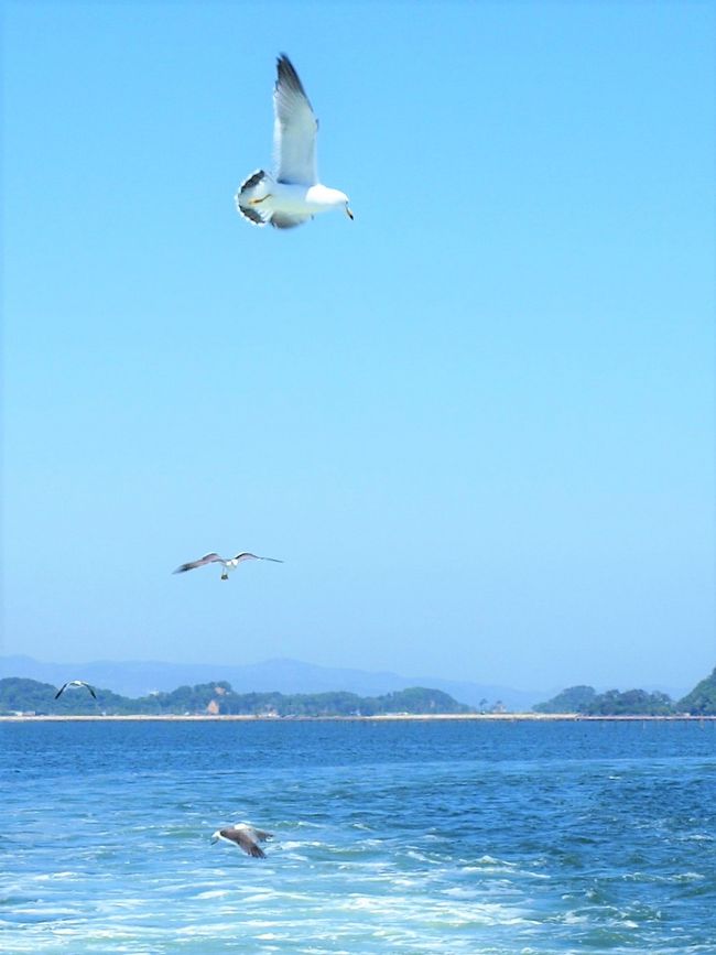 ゴールデンウイークも過ぎ、気候的にも安定してきたので、久しぶりの松島まで足を延ばすことにしました。天候にも恵まれた朝、清々ししい気持ちでハンドルを握りました。北陸道から磐越道、そして東北道で仙台方面に・・・・。スムーズに走行でき午前中に松島の駐車場に到着しました。瑞巌寺( http://www.zuiganji.or.jp/ )参拝後、観光船( http://www.matsushima.or.jp/access.html )で松島湾を楽しみました。その後三井アウトレットパーク( http://www.31op.com/sendai/ )で昼食、宿泊地である福島飯坂温泉( http://hanataki.net/ )に向かいました。<br /> 二日目、帰路に向かう途中、安達太良サービスエリア( http://www.driveplaza.com/sapa/1040/1040176/1/ )で休憩時、案内所のパンフレットで「いわき」のがあり、見ていたら「競争馬総合研究所」(競走馬リハビリテーションセンター https://www.fukulabo.net/shop/shop.shtml?s=4805 )の存在を知り、急遽いわき方面に進みました。高速を降り競走馬研究所に行き、見学をさせてもらいました。近くに「スパリゾートハワイアンズ」( http://www.hawaiians.co.jp/ )があるので、立ち寄り帰路につきました。