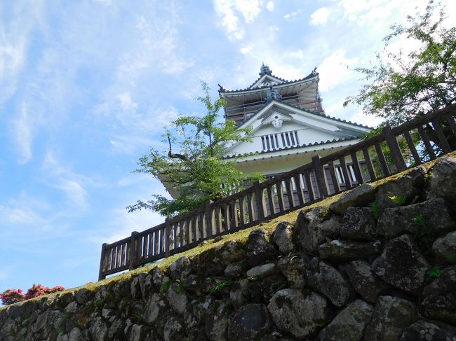 いつもテーマを選ぶときに迷ってしまうのは私だけだろうか。旅の中でいろんなことをやっているので、一つに絞りきれないのが現実。これかなと思うのを選ぶしかない。<br />それはさておき、またまた福井の旅。今度は東部の方へ。まずは例のごとく福井駅からレンタカーで大野市へ。<br />越前大野城。兵庫の竹田城ほど有名ではないが、ここも「天空の城」と言われている。山城だからシーズンや時間によって雲の上に浮かぶ光景が見られるとのこと。ゆっくりのぼること30分ほど。天守閣からの眺めがすばらしい。田んぼが広がっている方向と市街地が広がっている方向が同時に楽しめる。<br />大野市は「結(ゆい)」の街とも言われ、湧水や古い街並みや人とのつながりを大切にしているのをはじめて知った。観光客は少ないが、今はこんな地域が脚光を浴びてきていると聞く。日本の原点回帰に私たちはあこがれているのだろう。<br /><br />車を走らせて六呂師高原に向かう。冬はスキー場だが、今は美しい高原が広がる。湿原もあって、休日にはガイドさん付きのツアーも組まれているのだそうだ。<br />手ごろな宿が大野市にはなく、何と泊りはまた芦原温泉。今回は美松。クチコミに書きたいが、施設が古くてややがっかり。<br /><br />2日目は勝山を経て、かの有名な恐竜博物館へ。昨日のところからかなり近いのに、また1時間ほど車を走らせる。話はそれるがこの頃のレンタカーはおしなべてきれいになった。今回のトヨタアクオスは走行距離が3000㌔ほどで、ほぼ新車だった。それでもSクラスだから、トヨタのチカラの入れようもわかろうというもの。<br /><br />恐竜博物館は大人でもなかなか興味深い。敷地も広くて、あちこち回ると一日過ごせそうな感じ。しかしほどほどにして、白山神社平泉寺に移動。天気予報では好天のはずが、着くといきなりの雨。茶店で傘を借りて、雨の杉林を歩く。壮大な杉林に苔が敷き詰められていて、雨に映える。この演出のために雨になったのだろうか。それが証拠に福井へ戻るにつれ、雨はあがったのだった。