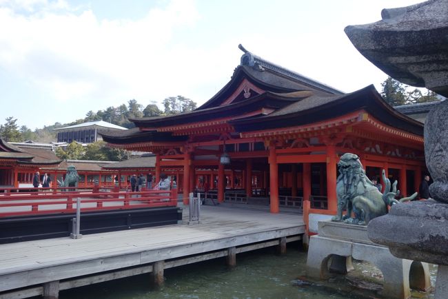 両親との旅行二日目です<br /><br />朝早い時間は娘と二人で宮島のお寺や神社を回りました。<br /><br />満潮の時間に合わせて両親と厳島神社へ<br /><br />午後は私の一番今回楽しみにしていた尾道です