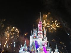 2016-2017年末年始 子連れWDW!!!   4日目♪   パーク3日目はマジックキングダムでプレカウントダウン♪ 