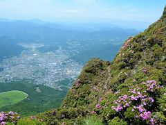 「由布岳」の絶景、眼下に広がる湯布院温泉とミヤマキリシマ