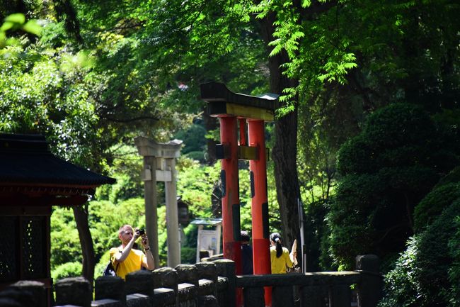 2017関東のなつかし風景あるく旅vol.3（根津神社）