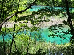 ◆初夏の裏磐梯湖水紀行・瑠璃色のラビリンス五色沼
