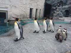 2017年6月★旭山動物園と小樽旅行★前編