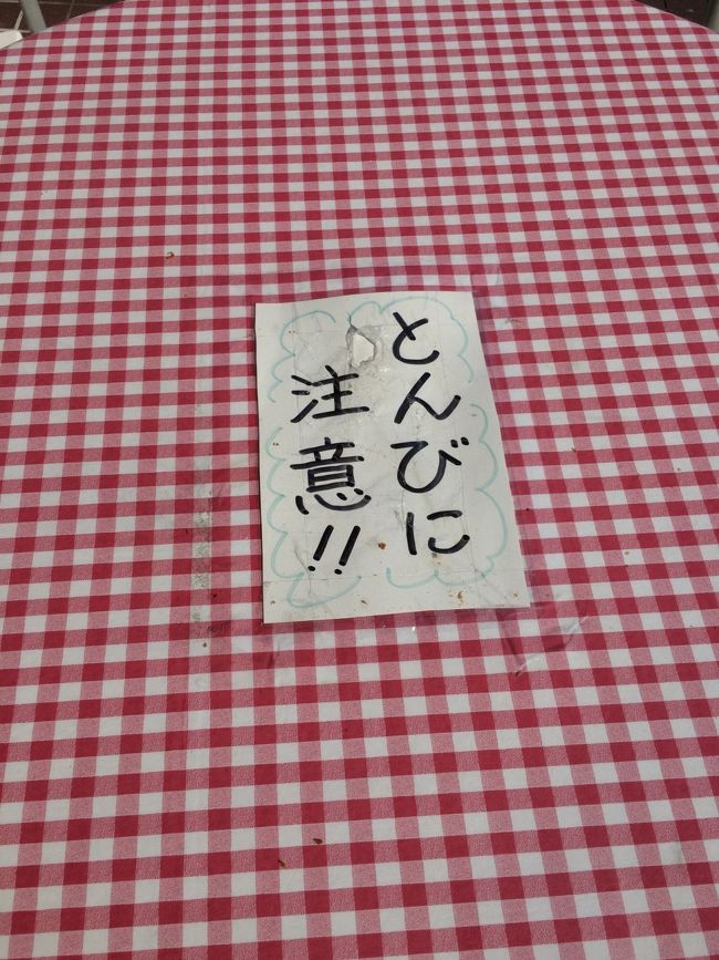 テレビでも紹介していたので、天気も良いし、今日しか予定も空いてないのでふらっと行って来ました。<br />京急のお得な切符で品川からは￥3000、横浜からは￥2800です。<br />新逗子までの往復切符と葉山のバス指定区間が無料です。<br />食事とおみやげ付きです。<br /><br />＊女子旅とありますが、青春18切符と同じで、誰でも利用出来ます。もちろん男性も大丈夫です。&#128582;