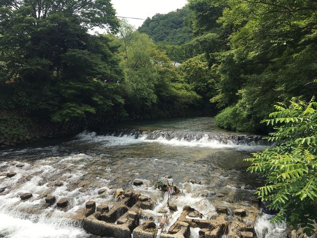 急に平日にお休みが取れ、梅雨の合間の晴れ日だと判明。これはどこかに行かなくちゃ！と直前にJR東海ツアーズの日帰り旅行を手配。お土産券3,000円分が付いてお得でした。<br />比叡山をハイキングして、午後は京都市内をぶらり観光。