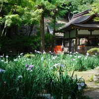 思い立って梅雨の京都 2017