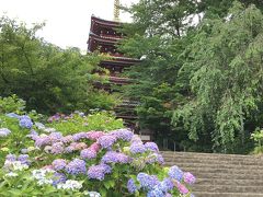 2歳児連れで松戸のあじさい寺＆新撰組を訪ねて流山