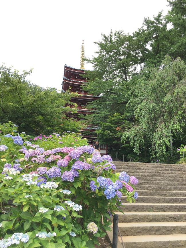 2歳児連れで松戸のあじさい寺＆新撰組を訪ねて流山