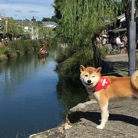 2016秋　岡山・姫路旅行２:倉敷美観地区の古民家に泊まってデニム食（≧∇≦）満喫