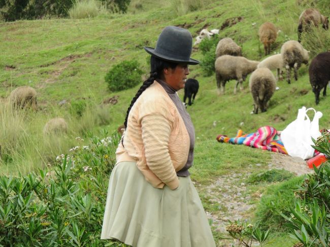 クスコはペルー南部、アンデス山脈中の標高３４００メートルの場所にあります。これは富士山とほぼ同じ高さ。どんだけ高い場所に町があるの？！<br /><br />かつては太陽神を崇拝するインカ帝国の都として15世紀に最盛期を迎え、16世紀スペイン人の侵略で滅亡しました。クスコはケチュア語で「へそ」を意味し、インカの人々にとってきっと世界の中心だったんですよね。<br /><br />古いレンガ造りの街並みが美しく、インカ文明の面影を残した街全体がユネスコ世界遺産になっていています。またマチュピチュ観光の拠点としても広く知られています。<br /><br />時折り見かける山高帽に三つ編み、ひだスカートを履いたチョリータと呼ばれる女性の姿に旅情を掻き立てられます。郊外にも遺跡が多くつい欲張って観光しがちですが、気がかりなのは高山病です。<br /><br />頭痛、倦怠感、吐き気などの症状が起き、重症化すると死に至る場合もあります。そのため市内のホテルでは酸素ボンベや薬を常備しているところが多いです。<br /><br />標高１５０メートルのリマから一気に飛行機で移動するのは気圧差が大きく非常に危険とされています。しかし行程上やむを得ず、そのような経路でクスコに降り立ちました。<br /><br />空港に置いてあったコカの葉を、すかさず数枚口に入れました。コカはコカインの原料となるもので、体力回復や中毒症状の緩和など様々な効能があります。そのため昔は奴隷が過酷な労働の疲労回復薬として、また空腹を紛らわすために利用されていました。<br /><br />コカの葉からコカインが抽出できるため、日本では自国への持ち帰りを厳しく規制していますが、ペルーでは嗜好品として普通にお茶として飲まれています。<br /><br />実際葉を噛んでみると、緑茶に似た苦味と、かすかに舌にシビレを感じます。軽微な幻覚作用はあるようで、高山病に効くというより感覚を麻痺させるといったものかもしれません。<br /><br />テレビの旅番組でボリビアを訪れたレポーターが市場で売られている コカの葉を噛みました。。 その様子が放送されたあと厚生局麻薬取締部から 「麻薬特例法に 抵触する恐れがある」 と注意を受けたそうです。(-_-;)<br /><br /><br />個人旅行の場合は体調不良が一番の気がかりです。高山病の症状には個人差があり、老若男女に関係なく発症します。高地に上がる前に薬の服用も有効で、アセタゾラミドやダイアモックスが使いやすいと言われています。日本では処方箋が必要ですが、現地では高山病予防薬は普通に手に入ります。<br /><br />何より予防として充分な睡眠と水分や糖分をしっかり摂取し、アルコールや運動を控えるなど自己管理が大切ですよ。<br /><br />欲張ってはいけないとわかっているクスコで、思いっきり観光してしまいました。まったく自己管理がなっていない！<br /><br />あ、こんな私でもこの街ではお酒は一滴も飲んでいません。<br />そのお陰かどうか滞在中は症状は出ませんでしたよ。<br /><br />メキシコシティ、ボゴタと標高の高い街に２泊滞在していたので慣れたのかもね。<br />リマに滞在したのは１２時間もないです。<br /><br />それにワタクシ信州人でして、日ごろからちょっと標高の高い場所に住んでいるのでね～<br /><br />何はともあれ標高の高いクスコで２泊しました。<br />途中でマチュピチュに日帰り観光に行っています。<br /><br />今回の旅ほど、標高を気にした旅はありませんでしたね～<br /><br /><br />4/30 NH180 NRT MEX 17:05 15:20<br />5/1 AV73 MEX BOG 14:58 19:23<br />5/2 AV143 BOG LIM 15:30 18:30<br />5/3 W42501 LIM CUZ 04:52 06:12<br />5/4 POROY駅 MACHUPICHU駅　06：40 09：54<br />5/4 MACHUPICHU駅 POROY駅 17:30 20:55<br />5/5 W42502 CUZ LIM 06:52 08:12<br />5/5 AV960 LIM MEX 10:42 16:50<br />5/6 AM672 MEX GUA 08:10 09:15<br />5/6 AM679 GUA MEX 18:30 21:55<br />5/7 NH7161 MEX IAH 06:20 08:44<br />5/7 NH173 IAH NRT 11:30 15:20(+1) <br /><br />NH 179,500円<br />AV 47,323円　遅延による別便振替ペナルティ23,350円<br />LCペルー 17,670円<br />AM 27,724円<br />PERU RAIL （クスコ-マチュピチュ間電車）行＄75　帰＄94<br /><br />【宿泊】<br />オスペダヘ・プエルト・メヒコ・エアロプルト（メキシコシティ）<br />Zohar Hostel（ボゴタ）<br />パイプーリックスホステル・リマ・エアポート（リマ）<br />Hotel Incawasi（クスコ）<br /><br />【レート】<br />１メキシコペソ=5.9円（キャッシング）<br />１コロンビアペソ=0.039円（クレカ）<br />１ペルーソル=37円（キャッシング）<br />１グアテマラケツｱール=15.6円（クレカ）<br /><br /><br />【2017GW中南米周遊（１）　メキシコシティ・テオティワカン】<br />http://4travel.jp/travelogue/11242331<br /><br />【2017GW中南米周遊　ボゴタ（２）（コロンビア）】<br />http://4travel.jp/travelogue/11244899