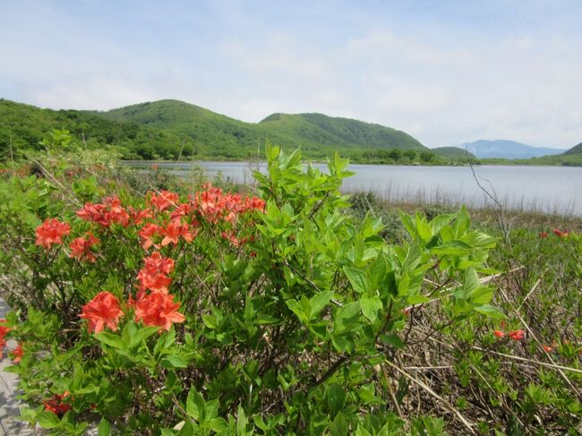 ２０１７年夏休みに北海道旅行しました。行きは雄国沼へ寄り道しました。