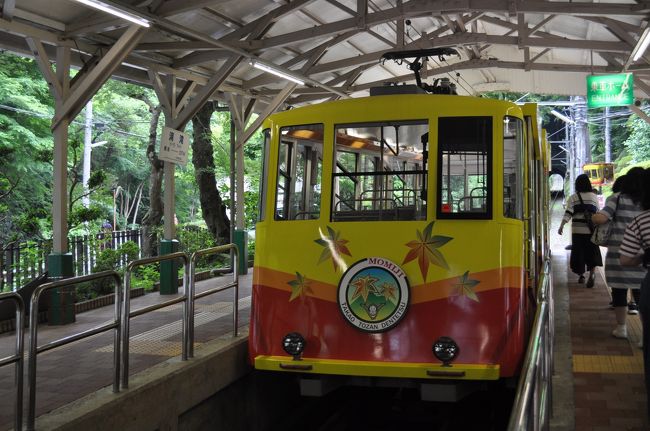 　2017年6月24日、日帰りで東京へ行ってきました。<br />　東京への往復はＡＮＡ便で、鉄道（乗り鉄）ファンですが。（笑）<br />　今回は、1987年以来30年ぶりとなる御岳登山ケーブルと高尾登山ケーブルの再訪を中心に、時間が許す限り鉄道に乗ってきました。<br />　御岳登山ケーブルを乗り終え、今度は高尾登山ケーブルに乗りに行きます。