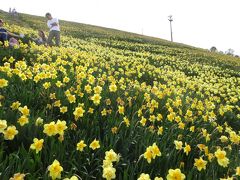 2017年5月 高原に咲くスイセンを見にびわ湖バレイへ 琵琶湖が一望出来る絶景びわ湖テラス ロープウェイは大混雑