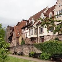 激情ほとばしるパイプオルガンの音に出会った～♪古城街道ネッカー川をゆく（ハイルブロン～エーベルバッハ～マンハイム）　新緑のドイツ・フランスの旅2-2