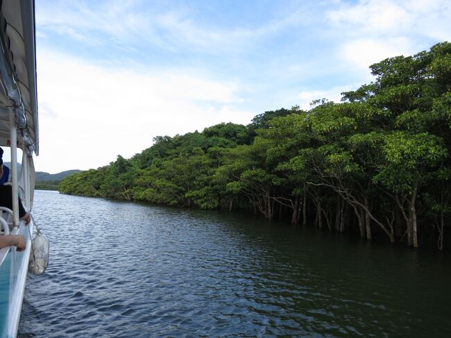 初めての八重山の旅　2日目です。<br /><br />段取り通り、石垣島から西表島への日帰り観光しました。<br />殆ど日本の西の端っこにある沖縄県で本島に次いで大きい島、西表。<br />大自然の息吹を感じる　ネイチャー系にはたまんない島です。<br />風は強いけど、大崩れは無さそうな天候で、テンションも上がってますよ。<br /><br />この度、Ｑ＆Ａで西表島観光についての疑問点をアップさせてもらい、適切なご回答＆アドバイスを頂きました方々に、この場を借りて御礼申し上げます。<br />ペース配分は置いといて、概ね楽しく周遊出来ました。笑<br /><br />行程<br />オリックスレンタカー ・八重山観光フェリー<br /><br />石垣港⇒大原港⇒由布島⇒星砂の浜⇒仲間川⇒大原港⇒石垣港<br /><br />流石に日帰りだと、島の上っ面だけしか観てないと思いますが、秘境感タップリの島を駆けてきました。<br /><br />そして、いつものタイムリーエラーをやってしまいました。笑<br /><br /><br /><br /><br />