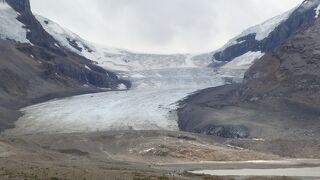 カナダの夏４　コロンビア大氷原