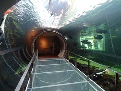 なかがわ水遊園～カピバラもいる内陸の水族館～