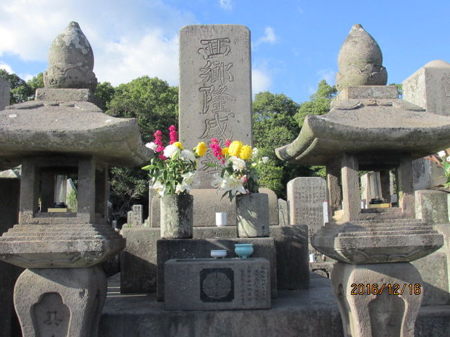 西郷像の建つ中央公園周辺には幾つもの歴史的建造物が建っている。鹿児島も空襲に遭った筈だからこれ等の建物は戦後建てられたのか。飛び乗ったバスはもう一度城山駐車場に向かうが、その途中西郷洞窟の前を通過する。何人か下車し、又何人か乗る人もいた。西郷最後の場所をこの目で見ておきたい、という観光客も多いのだ。バスは旧城址から東外れに当たる武家屋敷地区に入り、自分もそこで下車する。篤姫の生家、今和泉家もこの辺りのどこかにある筈だが、幾つかのそれらしき豪壮な邸宅を見るが具体的にどこがその邸宅かは分からなかった。いずれにしても島津本家の外戚の一つ、領主でもあって、それなりの立派な邸宅だったろう。<br /><br />その屋敷町を登った先の丘の上に西郷神社がある。西郷神社もそうだが、そこには西南戦争で亡くなった西郷軍の将兵２０００数名の墓石が一堂に奉じられていて、壮観だ。坂を上って行くと前方に鳥居が見てきて、この丘の上に墓地があり、且つ、神社があることを示している。しかしここまでやって来る観光客はごく稀で、殆ど行きかう人もいない。鳥居をくぐると、先ず最初に目に着くのは、正面のひときわ大きな墓石で、そこには「西郷隆盛の墓」と刻されている。後は何も書いてない。戦乱前は陸軍大将であったが、新政府に歯向かい剥奪され、遂には敗れて頓死。爵位も何もなく、南洲翁という雅号もなく、一人の人間として葬られている。人として生き、人として死ぬ、それが彼の本望だったのかも知れない。<br /><br />どこかで見たような墓石だ、と思って眺めていたら、それは三鷹の禅林寺にある森鴎外の墓石と形も大きさも質感もそっくりだった。森鴎外も陸軍中将で没したが、墓石には単に石見人、森林太郎との本名が刻されているのみだ。墓石は当然ながら西郷の方が先に建立されていたのだから、鴎外は西郷の無冠の墓碑を知って、同様にしたのか・・。鴎外に生前何等かの心の負い目でもあったのか・・。あったとすれば日露戦争時の疫学対応位だと思うのだが・・。いずれにしても鴎外と西郷の形も大きさもそっくりの偶然にはたと気が付いた。<br /><br />鹿児島県人の敬愛止まぬおいどん西郷。反乱軍となっても県民の情は篤く、遺族関係者が力を合わせ、見晴らしの良い丘の上にこれだけの規模の墓地を作った。大将も隊長も兵卒も皆一緒になって眠っている。線香の香りは漂ってはいないが、献花はどれも新しい。敬愛者や遺族が日々やってきては捧げているのだろう。どっしりとした重量感のある墓石。誰がやってきてもここからは動かんぞ、と無言の主張をしているようだ。暫く墓石、墓域を眺めていると、若いグループの何人かがやってきた。それを汐に西郷神社へお参りに行くことにした。