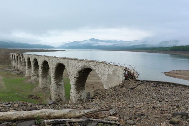 貴方のことを初めて知ったのは、旅行＆北海道好きの友人からの紹介で。<br />その時、ビビビッと感じるものがあったけれど、いまひとつ積極的になれないまま数年後、本屋さんで貴方を偶然目にしました。<br />堂々としていて無骨な貴方は孤独に見え、知性を備え洗練された姿にどことなく危うさや儚さを感じさせる美しい佇まいがステキでした。<br />遠距離だから縁があればそのうち、なんて思っているうちにまた数年が経ち、、、<br />今年の5月、紹介してくれた友人から貴方が危篤と聞きました。<br />もしかしたら貴方の元気な姿を見られるのは今年が最後になるかも、ととるものもとりあえず、私は貴方の元に向かうことにしたのでした。<br /><br />憧れの貴方の名はタウシュベツ川橋梁。<br />雪解け水が糠平湖に流れ込み、湖面に映る姿は別名：めがね橋。<br />そんな水も滴るイイ男？の貴方が水面に映るのは例年6月ですが、その年の天候によっても違うよう。<br />神様、どーぞ、あの方の晴れの姿に会えますように♪<br /><br />【日程】<br />6/24(土)　JAL577 13:15 羽田(HND)発 14:45 帯広(OBO)着<br />6/25(日)　JAL576 20:15 帯広(OBO)発 21:55 羽田(HND)着<br /><br />宿泊：糠平館観光ホテル（1泊朝・夕食付き）<br /><br />【諸費用（ひとりあたり）】<br />6/24 JAL577・・・JAL7,500マイル<br />6/25 JAL576・・・18,790円<br />帯広空港⇔帯広駅空港連絡バス　往復2,000円<br />ぬかびら源泉郷バスパック　2,700円（温泉入浴券１ヶ所＋施設利用券1,000円付き）<br />糠平館観光ホテル　10,260円＋入湯税150円＝10,410円<br />タウシュベツ橋ツアーx2回 5,000円<br />TTL　38,750円