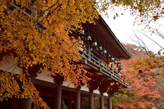 以前から曽爾高原へ行ってみたかった。ついでに、談山神社、室生寺も巡ってきました^^