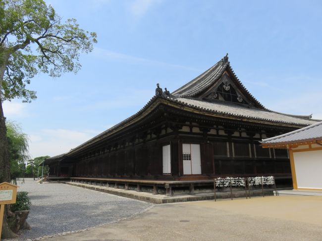 この前の旅行記に書いた今回の京都の５日間滞在の主な訪問地のリストをもう一度あげる。<br /><br />２０日は、三十三間堂、京都国立博物館、銀閣寺、京都駅構内、バスツアーでしょうざん庭園と夕食と東山から夜景。<br /><br />２１日は、西本願寺、東本願寺、河原町など街歩き、金閣寺、京都駅構内、錦市場、アイリッシュ・パブ。<br /><br />２２日は、二条城、上賀茂神社、下鴨神社、河合神社、八坂神社、八坂の塔、京都駅構内（ラーメン通り）、アイリッシュ・パブ。<br /><br />２３日は、相国寺（承天閣美術館）、四条河原町、渡月橋、天龍寺、竹林の道、野宮神社、錦小路、アイリッシュ・パブ。<br /><br />２４日は、東寺、観智院、四条高倉、清水道、清水寺。<br /><br />リストは盛りだくさんなのだが、旅行記をいざ書こうとすると肝心の感激した部分については、写真撮影禁止の連続で、盛り上がらない。建物の外観と庭の写真だけでは盛り上がらないのだ。<br /><br />それでも、あれだけいろんなところを見たのだからと、気持ちを振り絞って、行った順に、写真を並べてみる。<br /><br />最初は三十三間堂の外観から。内部は素晴らしいが一切写真はない。<br /><br /><br />