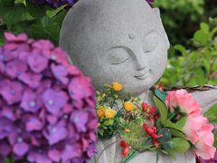 山陽花の寺二十四か寺花巡礼・臨済宗　観音寺～２０１７　あじさい祭り～