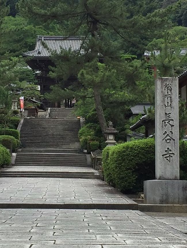 長谷寺・薬師寺・唐招提寺　日帰りの旅　Ⅰ　長谷寺