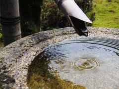 足をのばして天野山金剛寺へ