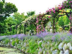 バラのトップシーズンに軽井沢へ（１）～晴れの日のガーデン散策（１日目）＠軽井沢レイクガーデン