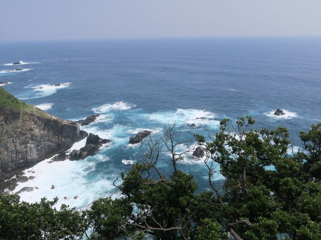 四国の絶景を巡る旅、二日目は高知県の足摺岬と四万十川へ。四万十川では遊覧船に乗って、沈下橋を見に行きます。<br /><br />宿泊は愛媛県の道後温泉です。<br /><br />高知→足摺岬→愛媛県の道後温泉と、この日は長距離移動になるため、途中トイレ休憩で立ち寄るショップでの買い物も旅の一環としてうんと楽しむつもりで出発しました。<br /><br /><br />～＊～＊～＊～＊～＊～＊～＊～＊～＊～＊～＊～＊～＊～＊～<br /><br /><br />このツアーが巡る絶景８ヶ所は次のとおり。<br /><br />絶景１　大歩危<br />絶景２　祖谷（いや）のかずら橋<br />絶景３　桂浜<br />絶景４　足摺岬<br />絶景５　四万十川<br />絶景６　金刀比羅宮<br />絶景７　善通寺<br />絶景８　鳴門の渦潮<br /><br />８つの絶景のうち、７つまでは見られました。<br />見られなかった一つは何か？<br />最後まで読んでいただくとわかります。<br /><br /><br /><br /><br /><br />旅行のスケジュール　★印は本旅行記で取り上げた場所<br /><br />６月18日（日）　　羽田空港午前７時45発のJAL475便で高松空港へ<br />　　　　　　　　　大歩危峡<br />　　　　　　　　　祖谷のかずら橋<br />　　　　　　　　　桂浜<br />　　　　　　　　　高知城<br />　　　　　　　　　高知市内の「龍馬の宿　南水」泊<br /><br />６月19日（月）　★足摺岬<br />　　　　　　　　★金剛福寺<br />　　　　　　　　★四万十川遊覧　屋形船で幕の内弁当の昼食<br />　　　　　　　　　道後温泉「茶玻瑠（ちゃはる）」泊<br /><br />６月20日（火）　　金刀比羅宮<br />　　　　　　　　　善通寺　四国八十八ヶ所霊場お砂踏み<br />　　　　　　　　　鳴門公園　うずしお鑑賞<br />　　　　　　　　　徳島空港19時55発JAL464便で羽田空港へ