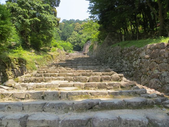 京や大阪に近いし、かっては大いに栄えた興味ある近江の国に出かけ、その歴史の一端をを肌で感じることが出来ました。<br /><br />かっての安土城がこれほどにすごいとは思わなかった。もしあの天守閣が残っていたら、どれほどのものだ、なぜ安土に築城だったんだ？<br /><br />もし信長が無事に時代を過ごしたなら、歴史はもっと大きく変わったんだろうと。<br />あんなにもすごい城郭を早く完成させながら、あんなにあっさりと亡き者になって、時代がこうなったんだと。<br /><br />この価値ある遺跡はしっかりと整備されることを願う。<br /><br />さすが近江商人の町、一部の散策ですがやや商業ベースがにじみ出てしまっており、若かりし３０年程前に見たかったと思う。<br />