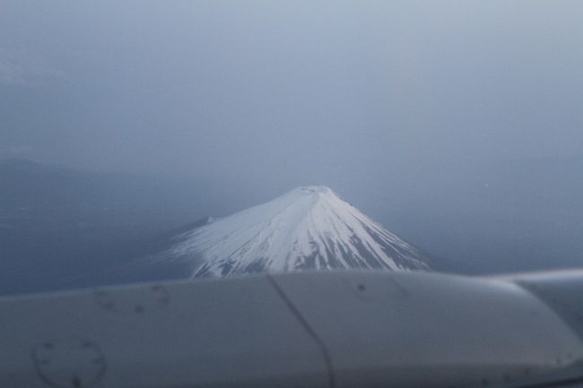 日本とは季節が反対の南半球｢ニュージーランド･８泊９日ツアー｣に、夫婦で行ってきました。<br /><br />今回の概略スケジュールは、<br />①【１日目】福岡空港→成田空港→ﾆｭｰｼﾞｰﾗﾝﾄﾞ航空直行便（機内泊）<br />①【２日目】ﾆｭｰｼﾞｰﾗﾝﾄﾞ(ｵｰｸﾗﾝﾄﾞ空港)→ｸｲｰﾝｽﾞﾀｳﾝ空港→市内泊<br />②【３日目】ｸｲｰﾝｽﾞﾀｳﾝ→ﾐﾙﾌｫｰﾄﾞｻｳﾝﾄﾞ日帰りﾂｱｰ→ｸｲｰﾝｽﾞﾀｳﾝ泊<br />③【４日目】ｸｲｰﾝｽﾞﾀｳﾝ出発→観光ﾊﾞｽ→ﾏｳﾝﾄｸｯｸ泊<br />④【５日目】ﾏｳﾝﾄｸｯｸ国立公園散策→観光ﾊﾞｽ→ﾚｲｸ･ﾃｶﾎﾟ泊<br />⑤【６日目】ﾚｲｸ･ﾃｶﾎﾟ出発→観光ﾊﾞｽ→ｸｲｰﾝｽﾞﾀｳﾝ泊<br />⑥【７日目】ｸｲｰﾝｽﾞﾀｳﾝ空港→ｵｰｸﾗﾝﾄﾞ空港→ｵｰｸﾗﾝﾄﾞ泊<br />⑦【８日目】ｵｰｸﾗﾝﾄﾞ→ﾎﾋﾞｯﾄ庄＆土ﾎﾞﾀﾙ日帰りﾂｱｰ→ｵｰｸﾗﾝﾄﾞ泊<br />☆【９日目】ｵｰｸﾗﾝﾄﾞ空港→成田空港→福岡空港→自宅へ帰着<br /><br />今回は、ツアー９日目(最終日)の「日本への帰路編」になります。<br />観光スポットの画像はありませんが、最終日の様子をご覧いただければ幸いです。<br />