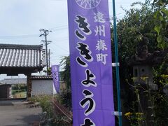 変わらぬ愛 !(^^)!　遠州 森町 『 ききょう寺 』 （お花 ２０の４）１０月公演記念・カバーの女王　田川寿美　１５本 ＋本人１５本