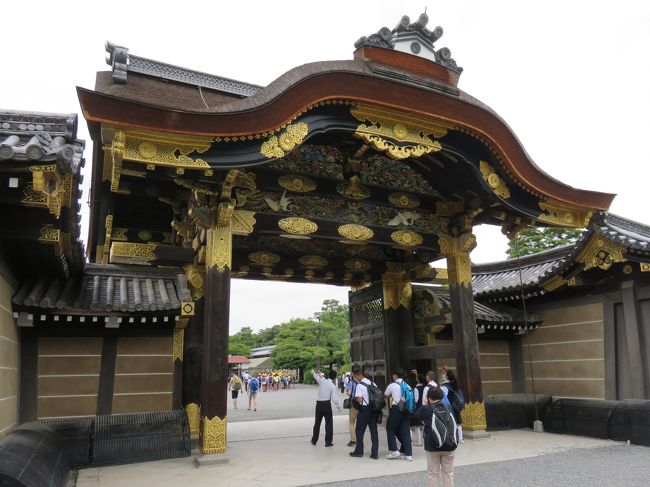 ２２日は、二条城と、上賀茂神社、下鴨神社、河合神社、八坂神社、八坂の塔、京都駅構内（ラーメン通り）、アイリッシュ・パブを訪問。<br /><br />京都滞在三日目は二条城からスタートしたのだが、落胆の連続だった。中学校の修学旅行ではもっとも印象の強かった場所なのだが、久しぶりに再訪すると、その堕落ぶりに失望。。。狩野探幽らの素晴らしい障壁画はすべて複製になってしまっていた。本物は城内の展示・収蔵館に保存展示されているということで、当然それは別料金１００円で入場できることも確認していたが、それは保護のためだから仕方ない。だが、どういう訳か、この日は展示・収蔵館に行くと、閉鎖されていた！！！これで、私の落胆は一気に高まった。二条城のホームページなども一応見たつもりだが、展示品入れ替えで、時々十日間ほど閉鎖されることを今知った！後の祭り。。。どうやら二条城には歓迎されていないようだ。<br /><br />いずれにしろ障壁画は一千枚以上あり、展示されるのはほんの一部らしい。名品を選んで、設備の整った場所に常設展示すれば、狩野探幽や尚信の傑作なら絶対に見に行くだろう。北斎の富嶽３６景などもそうだが、名品の常設展示を可能にする方法をもっと観光地や博物館は真剣に考えるべきだろうと思う。せっかくの名品は、お土産ショップの絵ハガキでしか見られないというのが日本の現実だ。海外からの美術ファンは当然、失望して帰る。着物を着て自撮りで満足する観光客ばかりではないのだ。<br /><br />日本の関係者は、私の様な主張を聞くと、たいていは、絵画は傷みやすいから名品の常設展示は困難だというが、不勉強も甚だしい！大英図書館などの奇観本コーナーを度々訪問しているが、彼らは世界の至宝をたくさん常設展示している。勿論、照明や湿度などに万全の注意を払っている。修復と展示方法の最先端技術は日進月歩なのだ。京都などは観光相手の商売ばかりに気を使わないで、保存性の高い展示方法など、そういう方面のリーダーになってほしいものだ。<br /><br />二条城の写真禁止には納得しない。なにしろ、複製の絵なのに撮影禁止なのだ！？意味不明。。。もしかして、複製しかないことが恥ずかしくて、写真撮影禁止なのだろうか？まさか。。とは思うが。。<br /><br />中学生の時、鴬張りの廊下の忍者対策的説明を聞かされたが、あれは嘘だった。たんに床板の釘金具の固定技術が拙劣だっただけと、はっきり説明版に書いてあった。知らなかった。修学旅行も教師はちゃんと選択しないと、こういうことになる。。<br /><br />ただ、大政奉還の現場が、建物として、残っている事実は貴重だ。その意味では訪問は意味あるものだった。建物の写真さえも禁止なので、これも出す現場写真がない。。二条城関係者は、こんなに面白くない展示方法を、再検討する気はないのだろうか。<br /><br />ところで、外国人を引率するガイド業があるが、立派な職業だ。頑張っておられる現場になんども遭遇した。ちょっと聞かせてもらったりしたが、検定試験の合格者達だから安心していいだろう。説明部分は多分、ちゃんと記憶しておられるので問題ないだろうが、時々質問の場面があったりすると、急にえ！と言いたくなるような即興の説明をしておられる方を見たりしたが、ま、いいか。。。営業妨害はしないほうがいいでしょう。<br /><br />上賀茂神社、下鴨神社、河合神社は、まとめて見た。葵祭の期間中のはずだが、とくにそれらしい出来事には出くわさなかった。糺の森の散歩はよかった。加茂氏の由来は知っていたし、立派な神殿や水の流れを活用した清々しい神社だった。<br /><br />河合神社で着物姿の撮影に目覚めたいきさつは既に旅行記に書いた。その勢いで、八坂神社に移動して、着物姿を撮影した。この辺りは何度も歩いているので、特に観光する必要はなかったからでもある。八坂の塔周辺も歩いた。龍馬の墓などがある霊山墓地は既にゆっくり見たことがあるので、このあたりは、ただ散歩を楽しむだけだ。ひっそりとしたところでソーメンを食べ、中休みをした。<br /><br />京都駅で屋上の空中経路から夜景を楽しみ、ラーメン屋の並ぶ通りで、富山ブラックを食べた。それから、アイリッシュ・パブで約束があるので、昨晩の議論の続きをしに烏丸に移動し、またもや、午前２時まで議論を続けた。欧米人は一旦議論が続けられる相手だとわかると、とことん、継続することが多い。ダブリンから来た男と最初は音楽に関するトーク、次はビールや酒のトーク、最終日はとうとう彼の個人的な問題に絡む問題と日本での対応に関する問題につきあわされた。<br /><br />京都の観光は今ひとつの一日だったが、ダブリンから来た男との議論はいろいろ考えさせられた。<br /><br />一枚目は二条城二の丸御殿唐門<br /><br /><br /><br /><br /><br /><br />