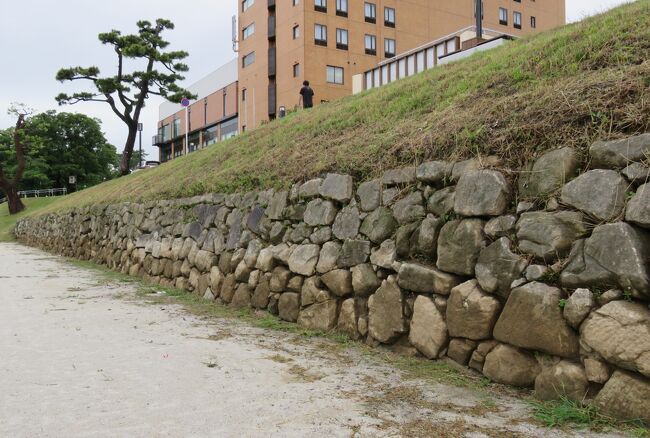 徳川家康公の生誕の御城として知られる、日本百名城の岡崎城の紹介です。2015年に乙川河川敷から、400メートルに及ぶ石垣跡が発掘され、その規模を巡って再脚光を浴びています。