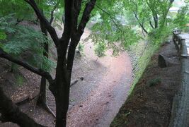 2017初夏、日本百名城の岡崎城(3/6)：岡崎城、龍城神社、狛犬、神馬、掘割、アラモの碑