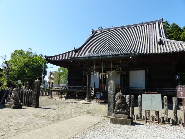 芭蕉は、仙台に入って榴岡天満宮をお詣りした後、<br /><br />おくのほそ道で、<br />「名取川を渡て、仙台に入る。あやめふく日也。<br />――中略――<br />日影ももらぬ松の林に入て、茲（ここ）を木の下と云うとぞ。<br /> 昔もかく露ふかければこそ、「みさぶらひみかさ」とはよみたれ。<br /> 薬師堂・天神の御社（みやしろ）など拝みて、その日は暮れぬ。」とある。<br /><br />これを例によってボクの勝手な現代語訳では、<br /> （陸奥国分寺跡は、仙台市若葉区木の下と言う所にあって、<br /> 陽の光も通らぬほど松の木が茂って、<br /> 露が多く垂れて、雨のように濡れるから、<br />これを昔の人は「みさぶらひみかさ」と詠んだのだ。<br /> 薬師堂・天神の社殿などを拝んで、その日は終わった。）となる。<br /><br /> 「みさぶらひみかさ」の出典は、古今和歌集の和歌にある、<br /><br />・みさぶらひ　御笠（みかさ）と申せ　宮城野の<br />　　　　　　　　　　　　　　木の下露は　雨にまされり<br /> から採ったものだ。<br /><br /> 「みさぶらひみかさ」とは何だろうと疑問を持った。<br /> 解説を見ると、漢字で書くと理解しやすい、<br />つまり「御侍（みさぶらひ）　御笠（みかさ）」と書く、<br /> 「お侍、笠を」と言うことなのだ。<br /><br />この当時の貴人のお共はお侍であったようで、<br />ボクの勝手な現代語訳では、<br /> （宮城野の木の下の露は雨よりも多いから、<br />お供のお侍さんよ、主人にお笠をお召くださいと言ってください。）となる。<br />