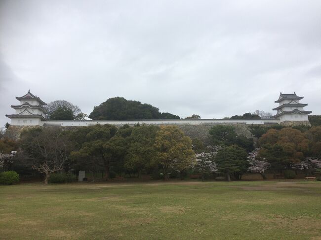   出張ついでに足を伸ばして明石城にやってきました。明石城は駅から全景が良く見えます。当地に赴くより、駅からの方がこの城の良さが分かると思います。電車からは淡路島への橋も見え、要衝に築かれた城であることがよくわかります。<br />  徳川譜代の城らしく、広い敷地と高い石垣、多くあったであろう櫓の跡地が往時の巨大な城郭を忍ばせます。石垣は関ヶ原以後の城の割に野面積みが多く、疑問だったのですが、各城の遺材で築城されたとのことで納得です。石垣はともかく、関ヶ原以後の城郭らしく、急な階段や狭い通路は少なく、行政府としての機能も重視して作られた城であることもよくわかります。<br /><br />