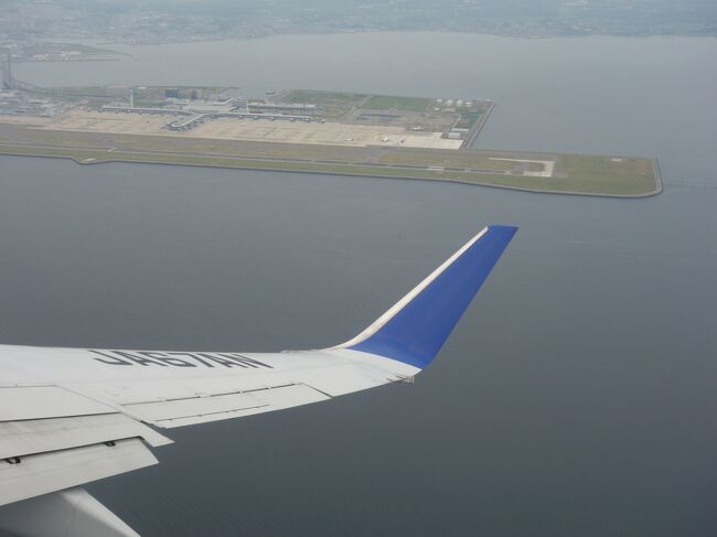 ANA707便はBoeing 737-800。JA67AN なる機体に乗りました。札幌行きですが,新千歳空港が混雑していたのか,青森上空でゆらゆらと時間稼ぎの変な軌跡を描きました。