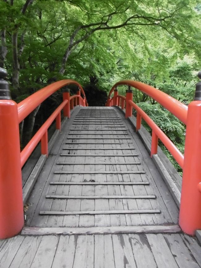 ６月８日は梅雨入り後だったが、雨には遭わず、群馬県太田市の「金山城跡」を散策し、「高山彦九郎記念館」や「世良田東照宮」見学後、目的地の伊香保温泉「景風流（ケーブル）の宿　かのうや」に向かった。<br /><br />「かのうや」には、７、８年前に宿泊したが、この時はなんとカメラを忘れてしまい、写真が全く撮れず、記録がないため、悔しい思いをしたことがある。<br />その時の食事や雰囲気も良かったので、今回はもう一度ゆっくりと温泉に…ということで訪れたのだった。<br /><br />翌日はみどり市にある「岩宿遺跡」を見学、桐生市でランチ後帰宅した。<br /><br />１泊だったとはいえ、たくさんの遺跡や資料館、神社などを訪れ、群馬県の歴史的側面を知ることが出来て、有意義な旅となった。