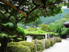 京都西山善峯寺へ